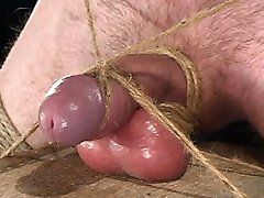 'What the fuck is this small cock gonna do for me, pretty boy?' Mistress Harmony is relentless in dishing out the pain, bondage and humiliation in Kade's first Men in Pain shoot.
The bondage is very tight and strict throughout, and Harmony teases Kade with her gorgeous body and stinging verbal skills. She slaps, spits, spanks and fucks this young man's mouth, face and ass in this super hot update. 'What the fuck is this small cock gonna do for me, pretty boy?' Mistress Harmony is relentless in dishing out the pain, bondage and humiliation in Kade's first Men in Pain shoot.
The bondage is very tight and strict throughout, and Harmony teases Kade with her gorgeous body and stinging verbal skills. She slaps, spits, spanks and fucks this young man's mouth, face and ass in this super hot update.