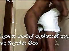 斯里兰卡女孩他妈的他的继母
