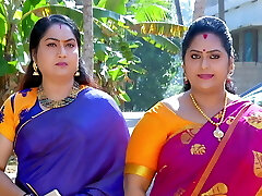 缎面纱丽14 缎面纱丽14