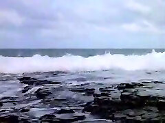 ДХ классический 2 ДХ классический 2