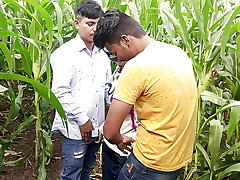 Indian Pooja Shemale Boyfrends Took A New Friends To Pooja Corn Field Today And Trio Frends Had A Pile Of Fun In Sex