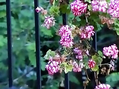 HOTEL LES AVALEUSES FRANCUSKU - CAŁY FILM -DETERMINISTYCZNY$P