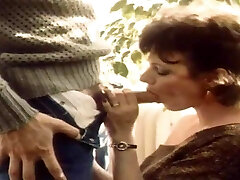 बस विंटेज 160 बस विंटेज 160