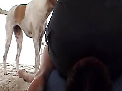 eine wilde deutsche dame sitzt auf dem gesicht ihres sklaven's am strand