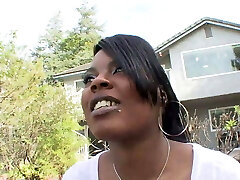 duży czarny koguty rynek-vol 04 duży czarny koguty rynek-vol 04