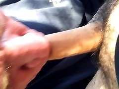 Trucker Daddy Sucking Me In His Cab Part 2 Trucker Daddy Sucking Me In His Cab Part 2
