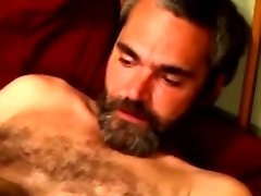 Hairy mature bear sucked and tugged Hairy mature bear sucked and tugged