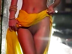 Poonam Pandey，裸体跳舞的视频