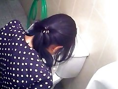korean wc spy 31