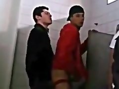 Public toilet hump Public toilet hump