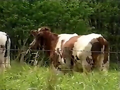 Viola Extraordinary - Extreme Number three - Indecent Chicks Viola Extraordinary - Extreme Number three - Indecent Chicks