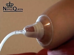 perceiving like a cow