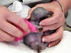 dads girlfriend dads girlfriend