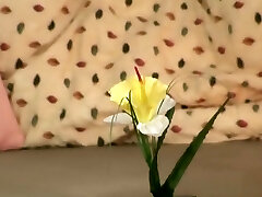 My Wifes Mom - Home party heads very very bad My Wifes Mom - Home party heads very very bad