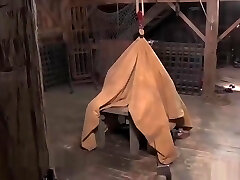 Nimble MILF Darling Fucked in a Difficult Suspension