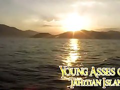 Young Asses of Tahtian Island