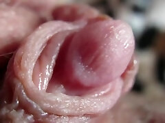 Pulsing Hard Clitoris In Extreme Close Up Pulsing Hard Clitoris In Extreme Close Up