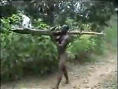 real african amateur pummel on the tree part 2 real african amateur pummel on the tree part 2