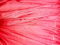 Pakistani School Girl Sex On Video Call With Her B