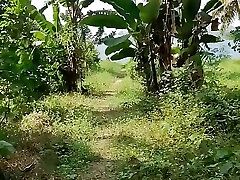 Pee Pov on the Palm Plantation