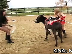 Dominant-bitch smothers gimp and tortures with electricity