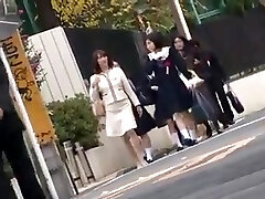 Molester omnibus Molester omnibus