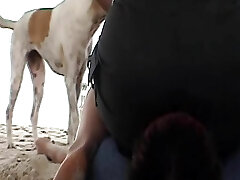 A insane German lady sitting on her marionettes's face at the beach
