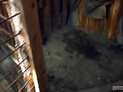 The Beast From The Forest The Beast From The Forest