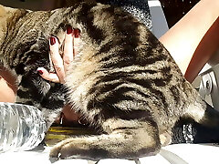 nippleringlover &ndash; horny milf is nude outdoors, fucking bottle, pierced honeypot, big nipple rings in extremely pierced nipp