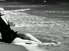 纯粹的夫妇在一个荒岛上 纯粹的夫妇在一个荒岛上