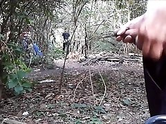 crusing in the forest