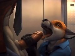 1 Hour Gay/Striaght Furry Animation Compilation 3