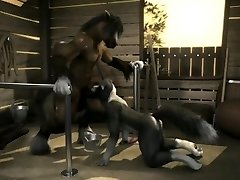 собака и лошадь (анимация h0rs3)