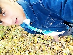 Autumn peeing on dry leaves in a park