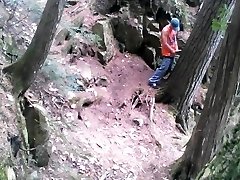 Forest jacking #2