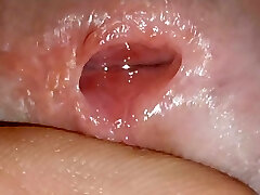 Prepping the chick for insertion of the tube with the anesthetic serum.