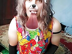 CROSSDRESSER OF YOUR LIFE HOT CUTE HOUSE KITTY MEOWING FOR YOU CUTE LEGS SMOOTH SKIN CANDY FEMBOY
