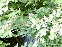 Dark haired chick from game meetcom sex xxx video2 making two dudes cum in the woods