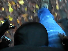 Bulgewalk in the Woods