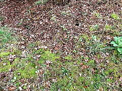 Completely naked in the forest the vagina beaten up