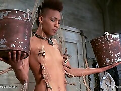 Ebony Trained And Whipped With Nikki Darling