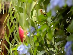 VERSO bangbus free Among The Bushes