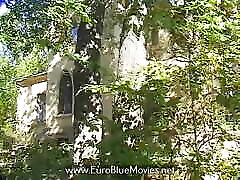 अल्टे साफ्टप्रेस 1992