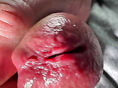 Come in very good close-up with acorn hole