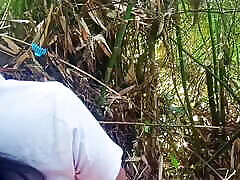 Jungle me kam jada save