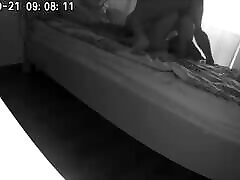una telecamera e girato il barare di suo marito e governante. video reale
