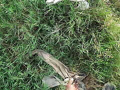 indian tribal village worker cheating sex with farm owner in paddy field