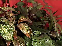 Porn Workroom Part 4 - Fully remastered in HD