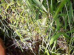 la cuñada desi del pueblo llama frente a su cuñado en el campo para follar el culo en el campo, video de sexo romántico en el bosque