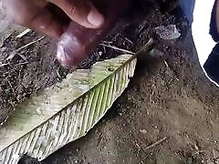 Big Cook & Fan Videos